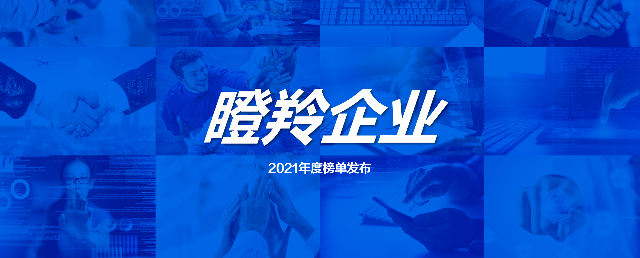 2021年度中關(guān)村“瞪羚企業(yè)”